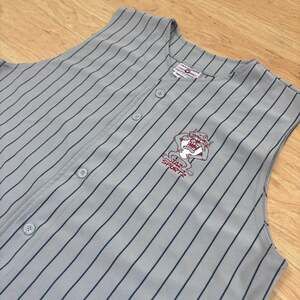 Vintage Teamwork Athletic Apparel Taz Sportz Looney Tunes Pinstripe Jersey XL 32